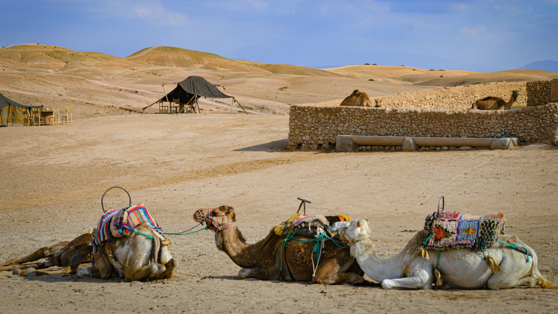 merzouga