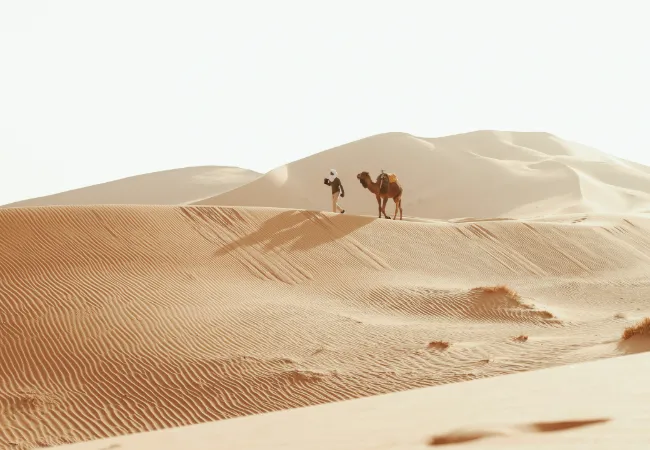 Moroccan Sahara Derset