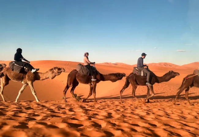 Marrakech Tours Morocco